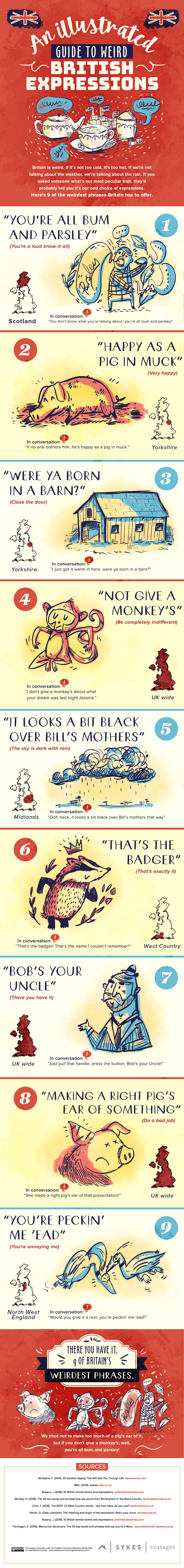 An Illustrated Guide To Weird British Expressions Sykes Holiday