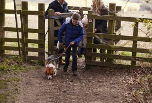 Top 5 Dog-Friendly Walks in Dorset | Sykes Cottages