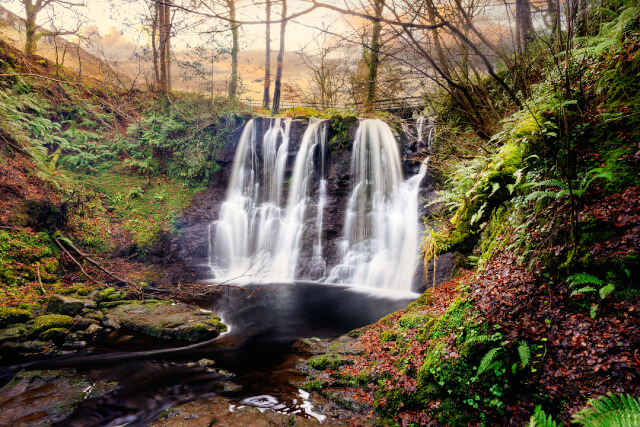  Glenariff Forest Park trail