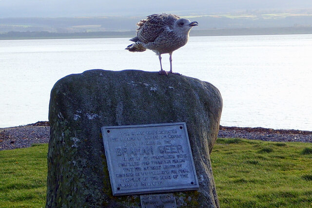 A bird sitting on the rock with the Brahan Seer plaque on