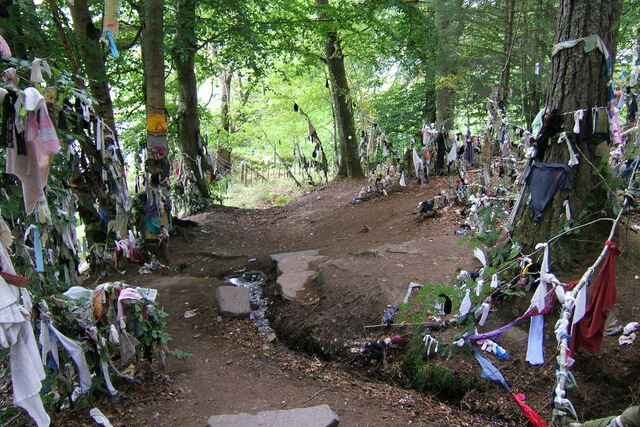 Pieces of cloth hanging from trees at a cloothie well on the black isle 