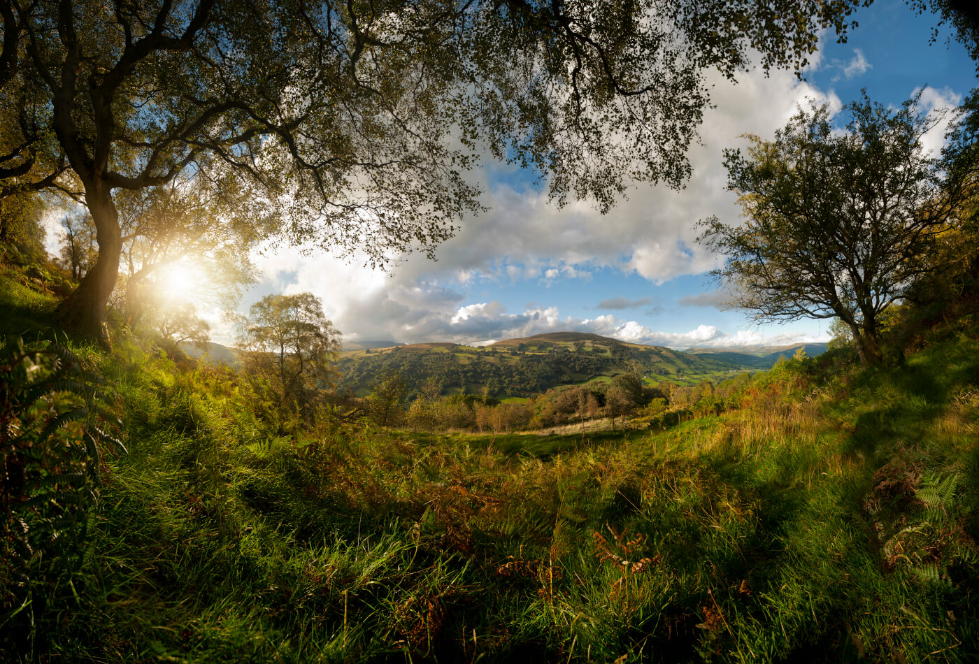 5 DyffrynCrawnon_Brecon Beacons_Andrew Brooks