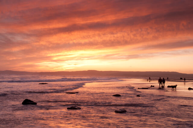 Exmouth Beach