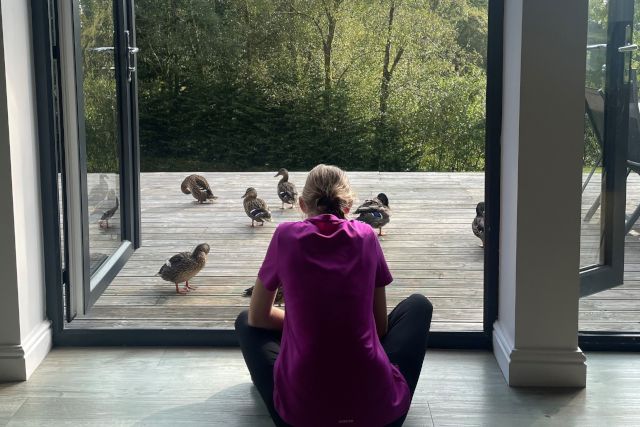 The Foden Family Holiday - ducks