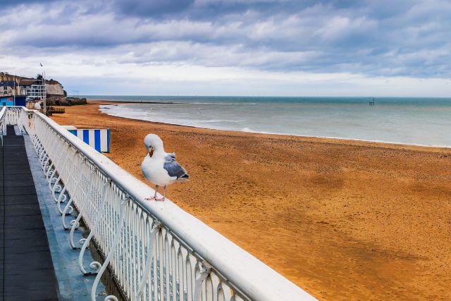 Image of Ramsgate Beach from balcony with seagull sitting on the railing