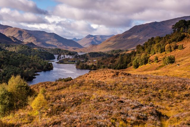 Autumn in Glen Affric