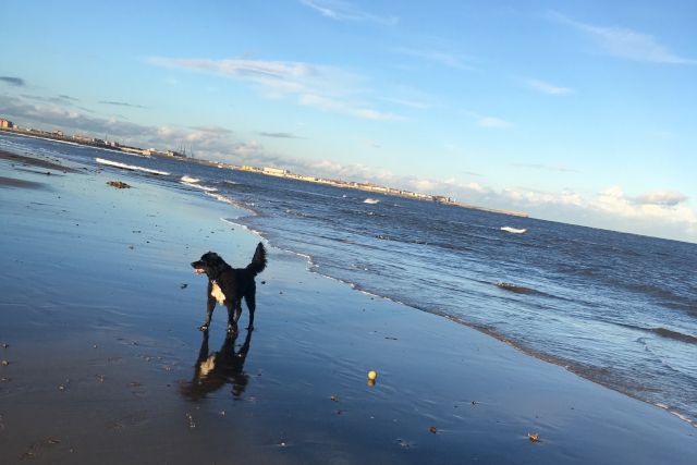 Seaton Beach - Steph