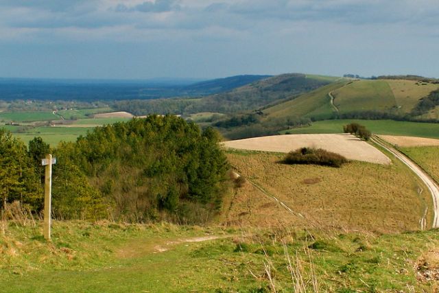 South Downs Way