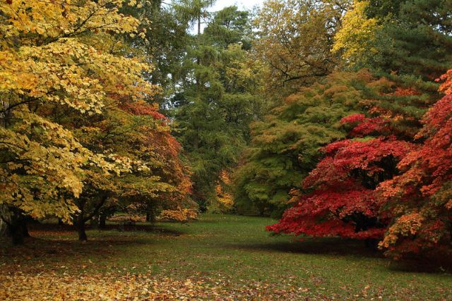 Westonbirt The National Arboretum