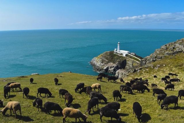 South Stack Lighthouse