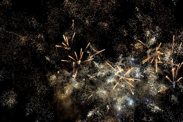 Fireworks in the night sky