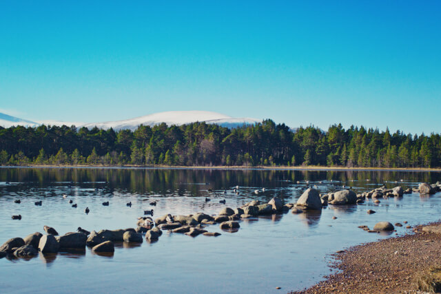 Aviemore, Scottish Highlands