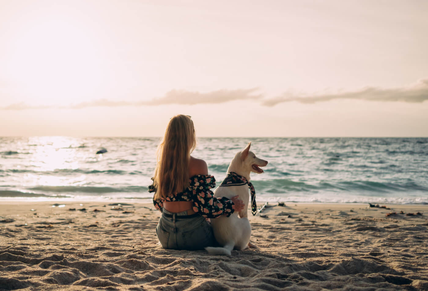 Woman and her dog on the beach watching the sunset