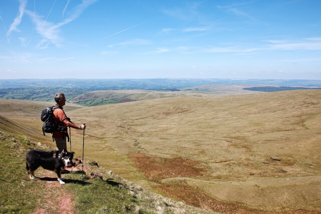 Dog and owner on a hike in the North York Moors 