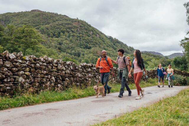 Group dog walk in the Peak District