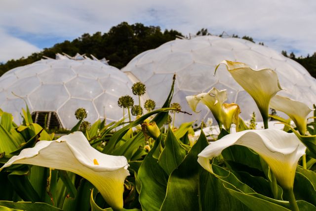 The Eden Project Cornwall