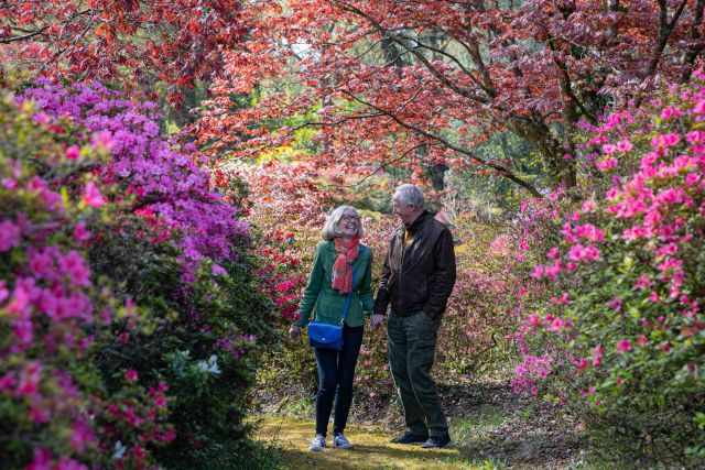 Exbury Gardens