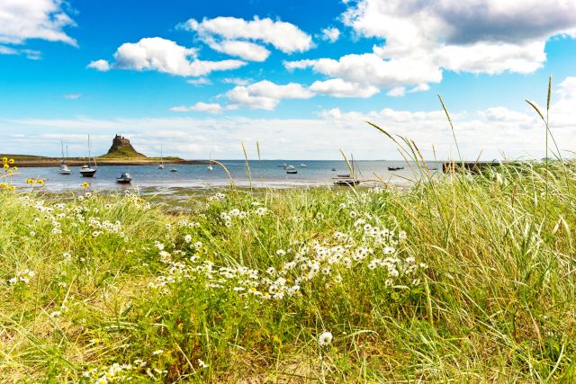 Holy Island