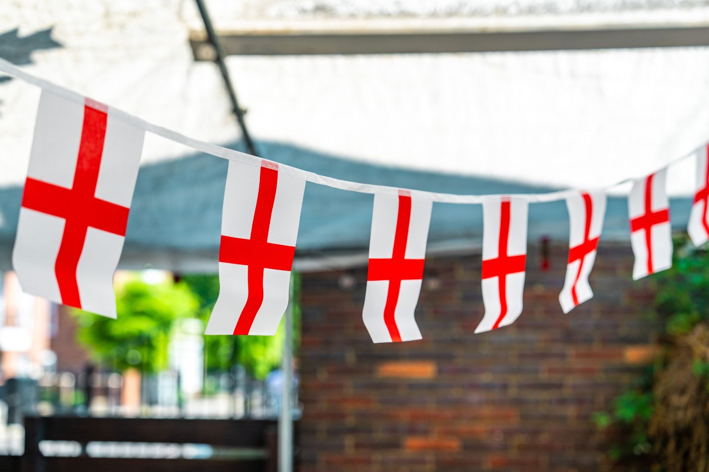 St George flags in the back garden