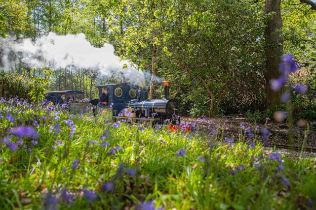 Steam Train Exbury Gardens