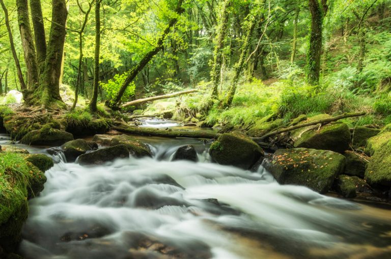 Golitha Falls - Sykes Inspiration