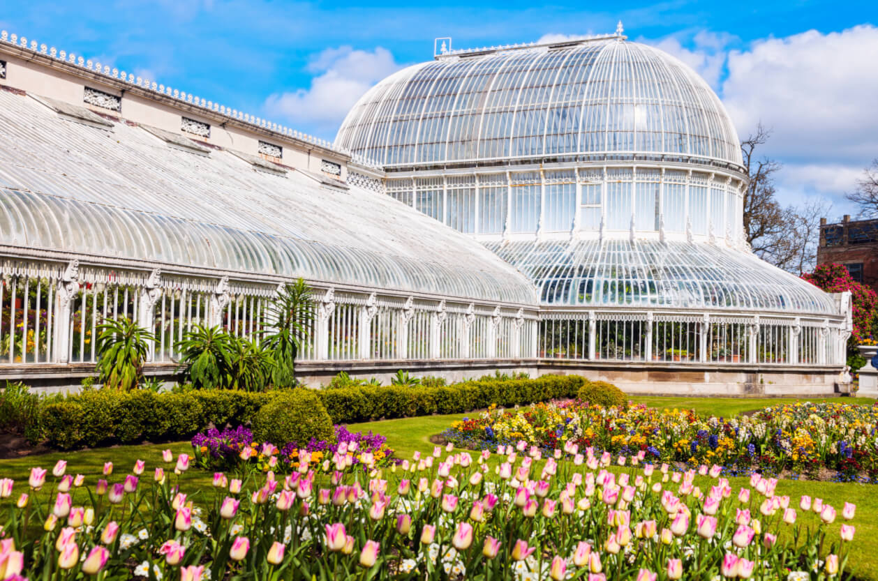 Large Belfast Botanic Gardens palm house with flowers in foreground