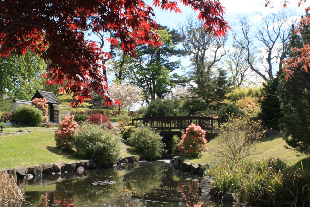 Lauriston Castle Japanese Gardens