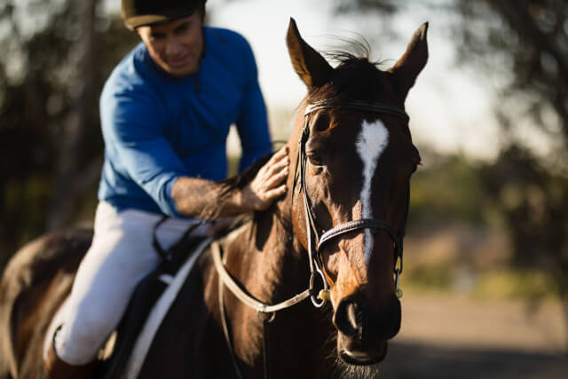 Linden Farm Riding and Trekking Centre