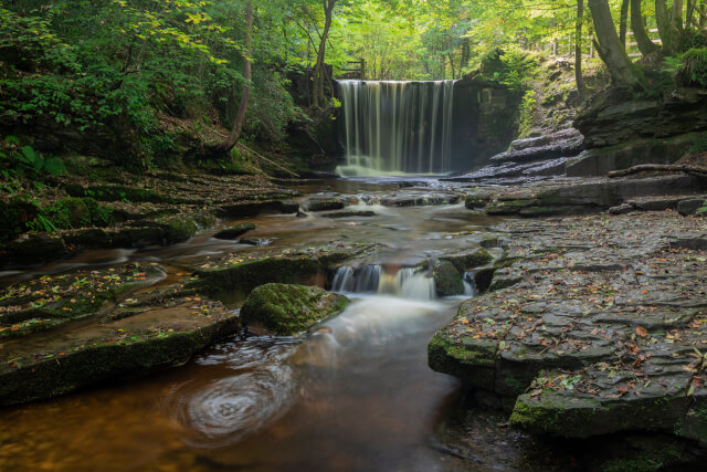 Nant Mill Country Park, Wrexham