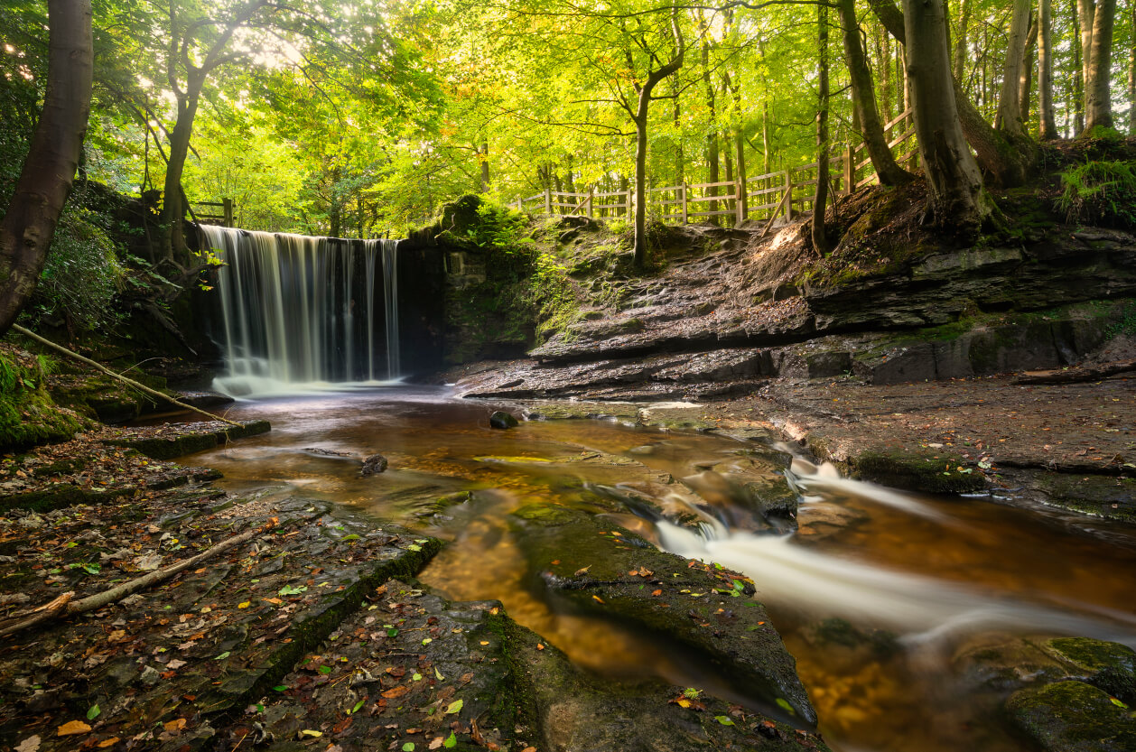 Nant Mill Country Park