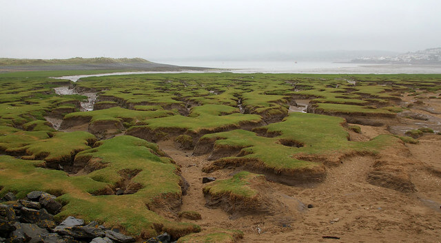 Northam Burrows Country Park