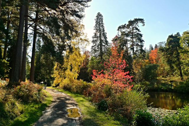 Pinetum Gardens, Cornwall