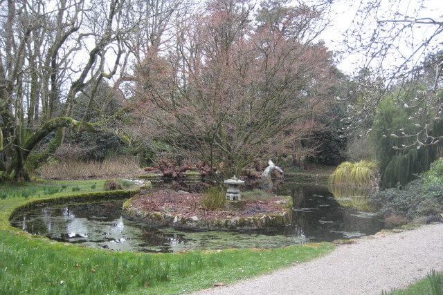 Pond in Trewidden Garden