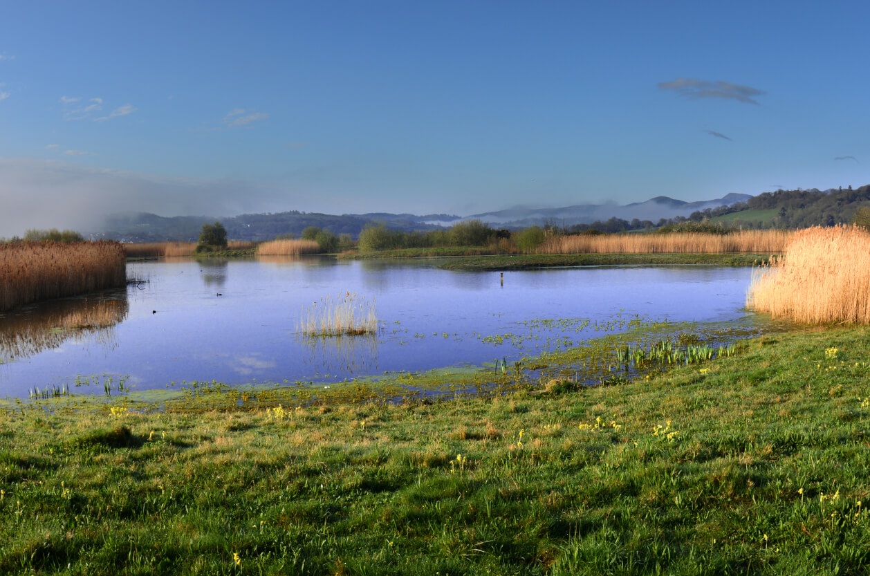 RSPB Conwy