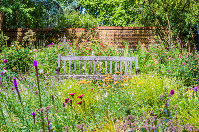 Tanglewood Wild Garden, Penzance