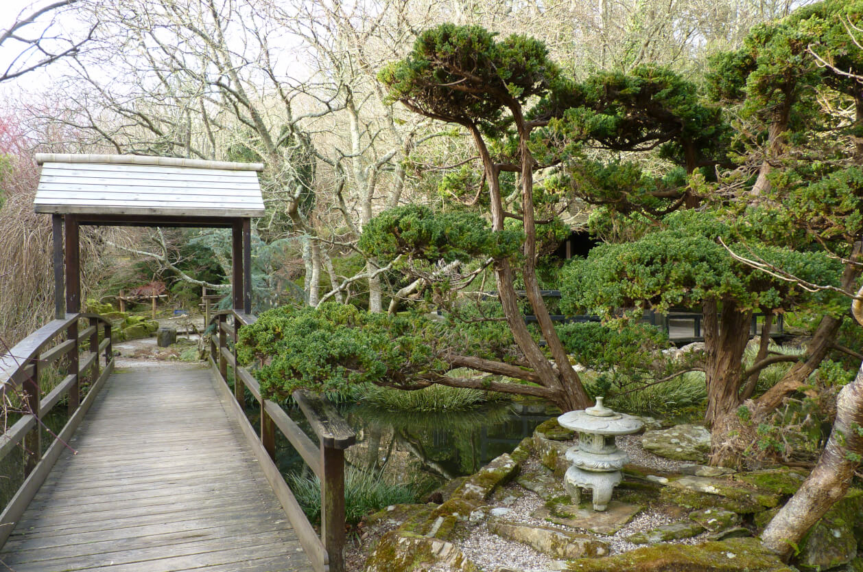 The Japanese Garden, Cornwall