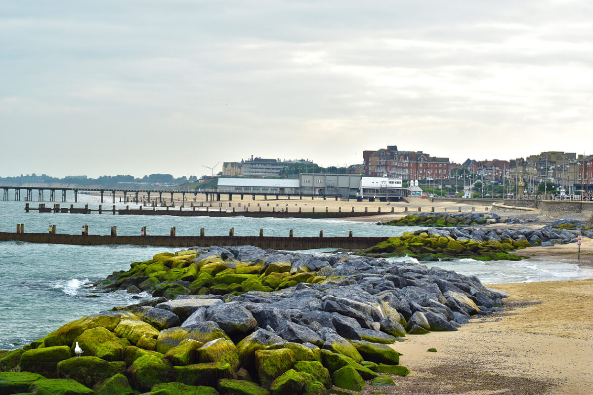 is great yarmouth beach dog friendly