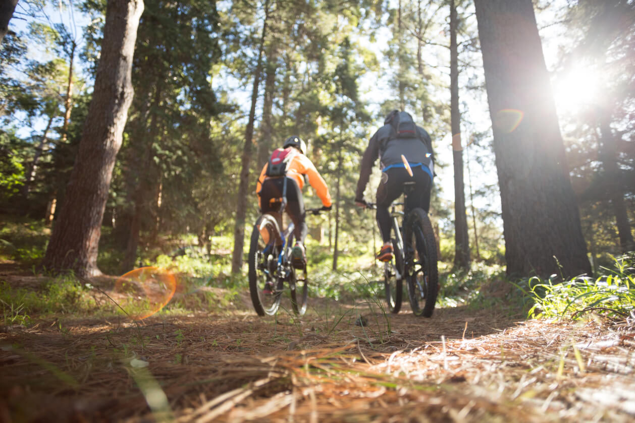 mountain bike in the forest