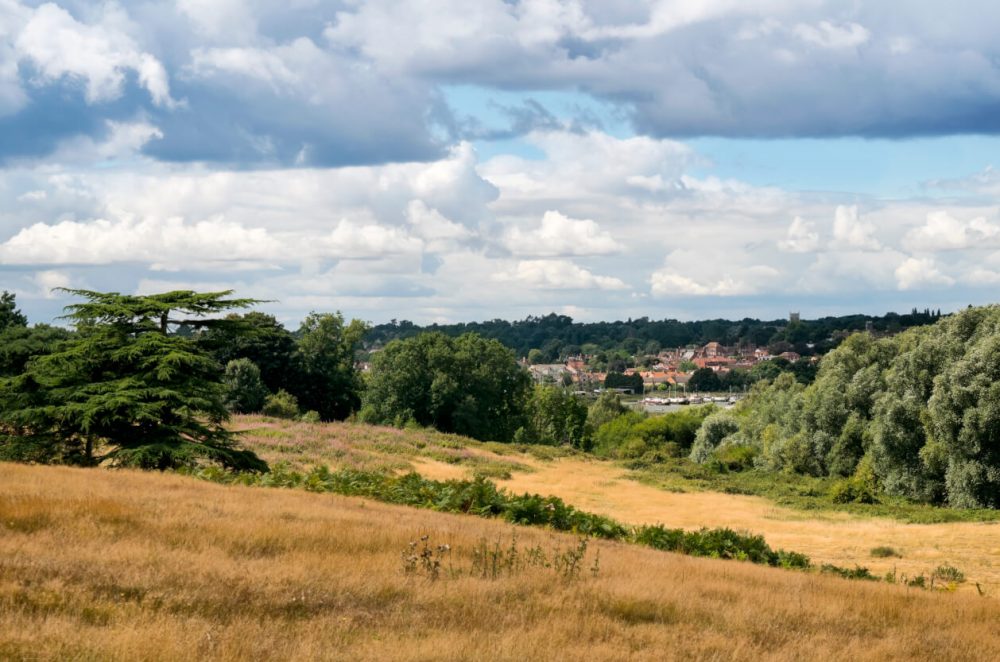 Sutton Hoo, Wadebridge